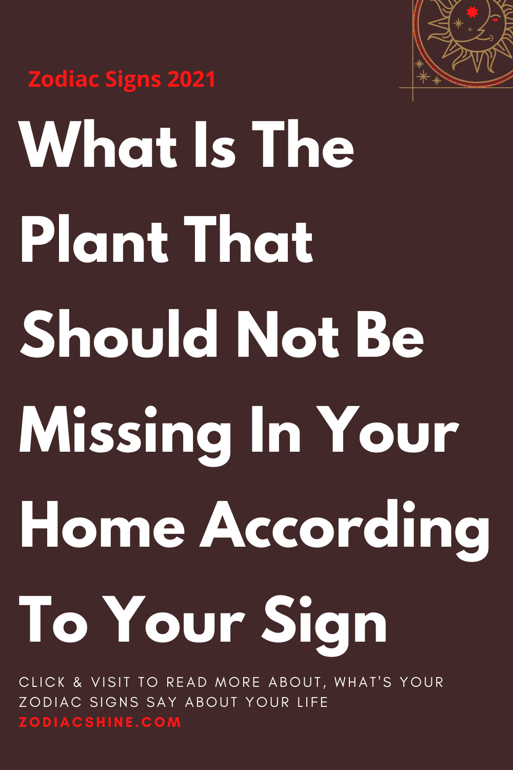 What Is The Plant That Should Not Be Missing In Your Home According To Your Sign