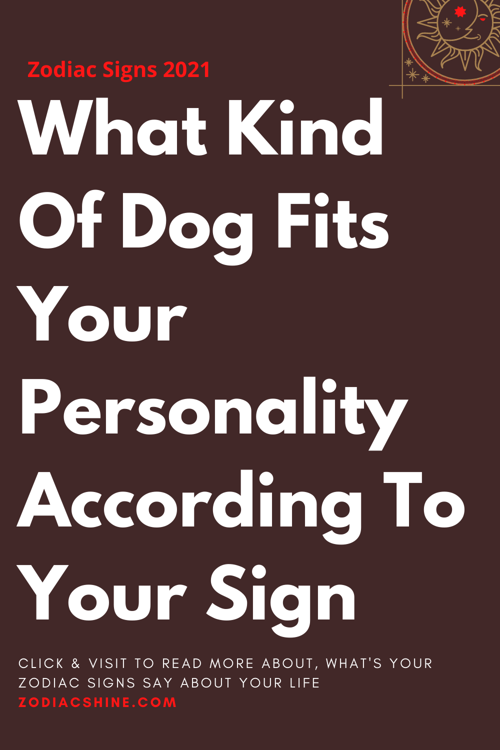 What Kind Of Dog Fits Your Personality According To Your Sign