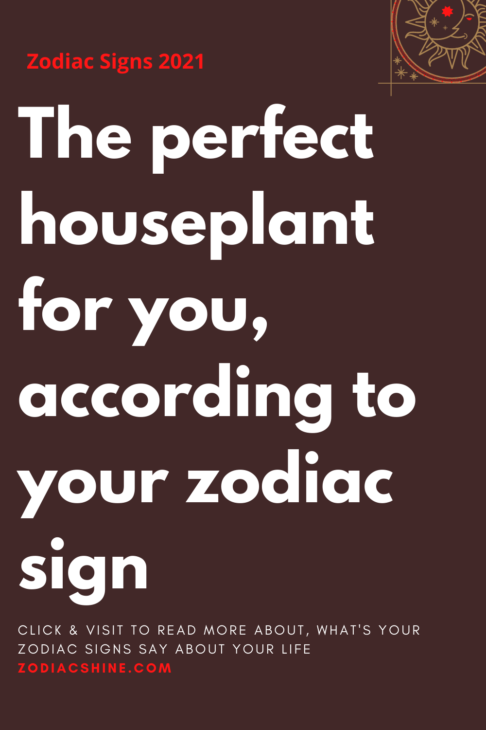 The perfect houseplant for you, according to your zodiac sign
