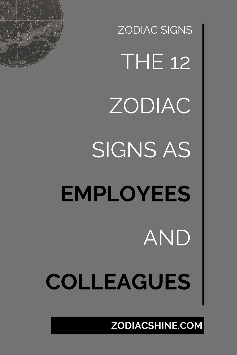 The 12 zodiac signs as employees and colleagues