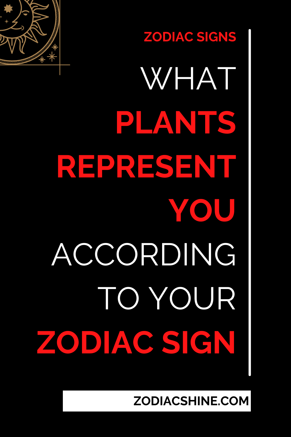 What Plants Represent You According To Your Zodiac Sign