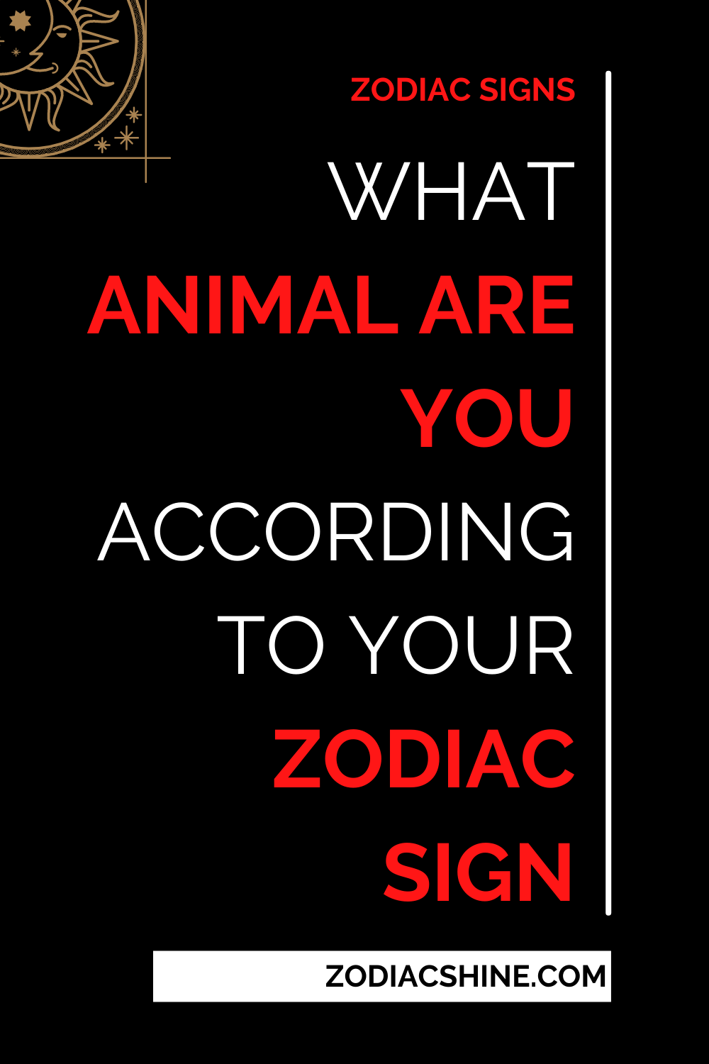 What Animal Are You According To Your Zodiac Sign
