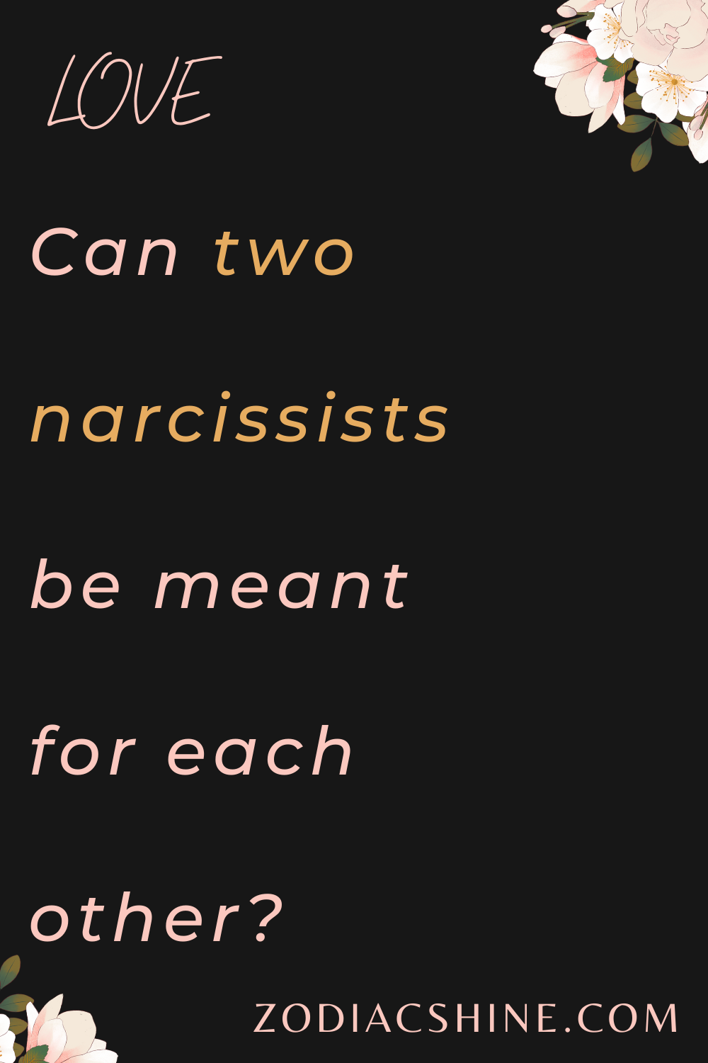 Can two narcissists be meant for each other?