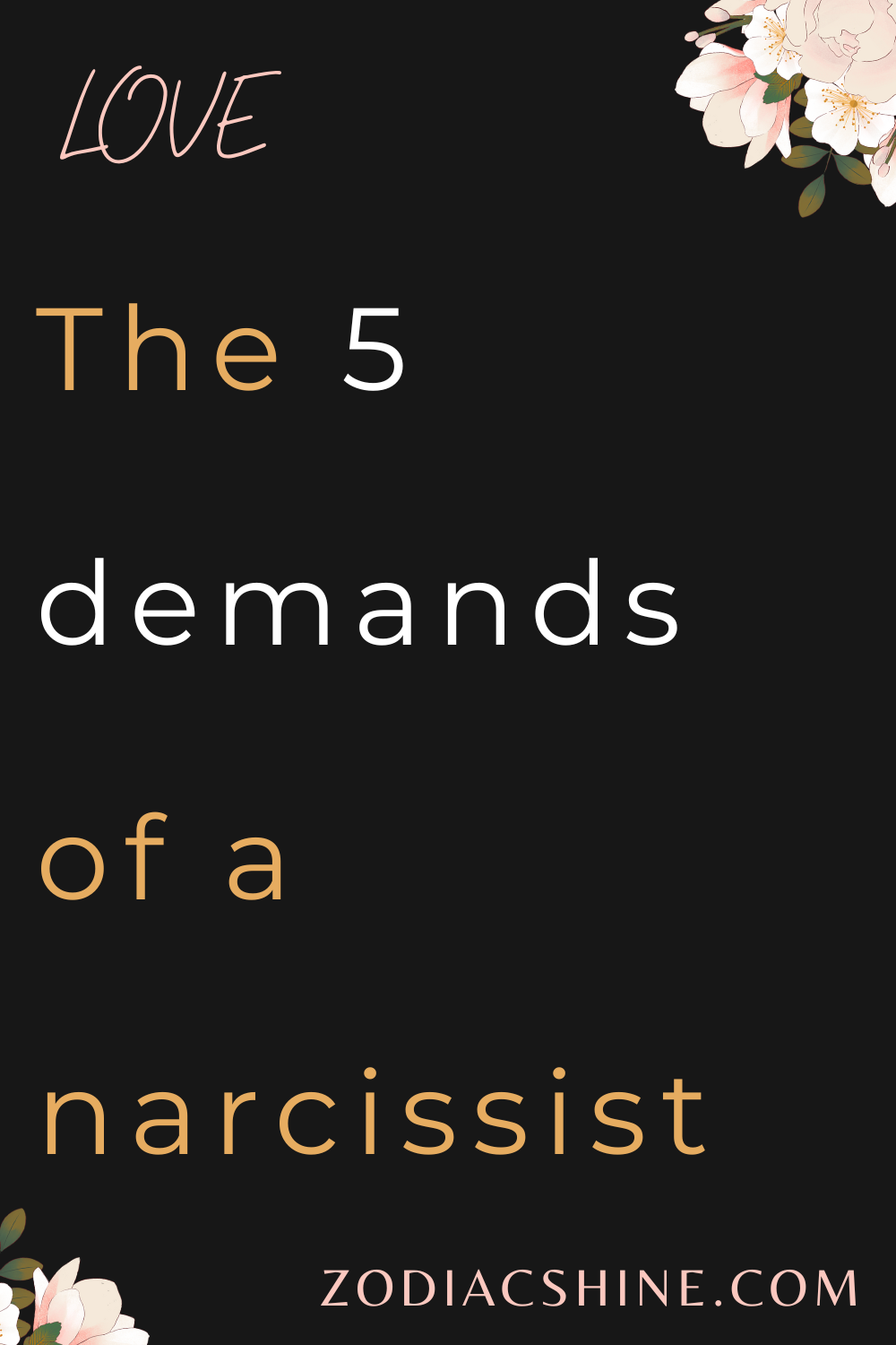 The 5 demands of a narcissist