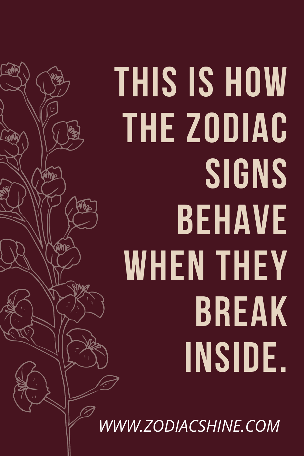 This Is How The Zodiac Signs Behave When They Break Inside. – Zodiac Shine