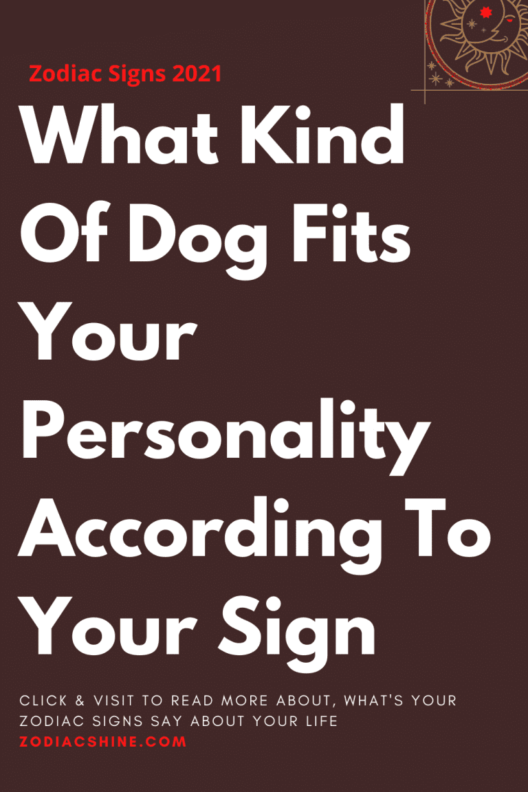 what-kind-of-dog-fits-your-personality-according-to-your-sign-zodiac