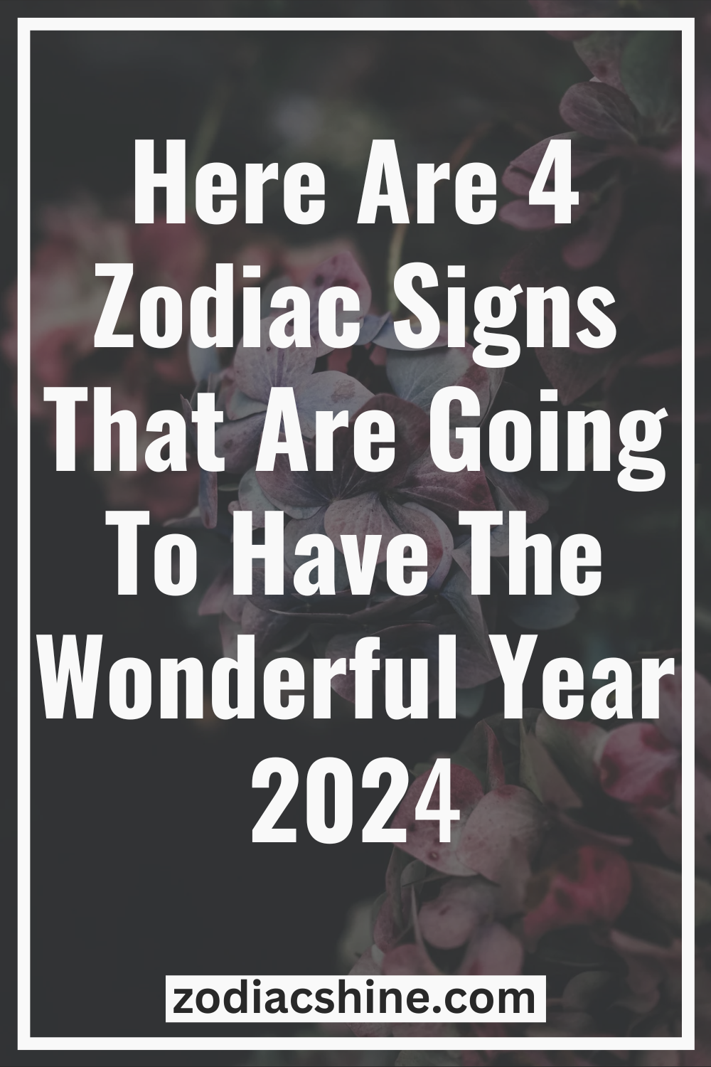 Here Are 4 Zodiac Signs That Are Going To Have The Wonderful Year 2024 ...